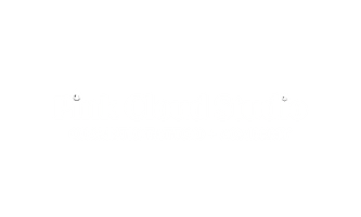 PINK CLOUD STUDIO