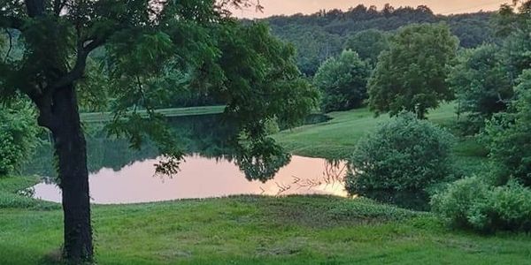 One of our ponds with a beautiful view of the skies 