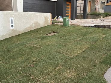 New Turf, and Rendered Besser Block Wall