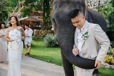 When the groom gets hugged by an elephant — and the bride can’t stop laughing. Pure joy in Thailand.
