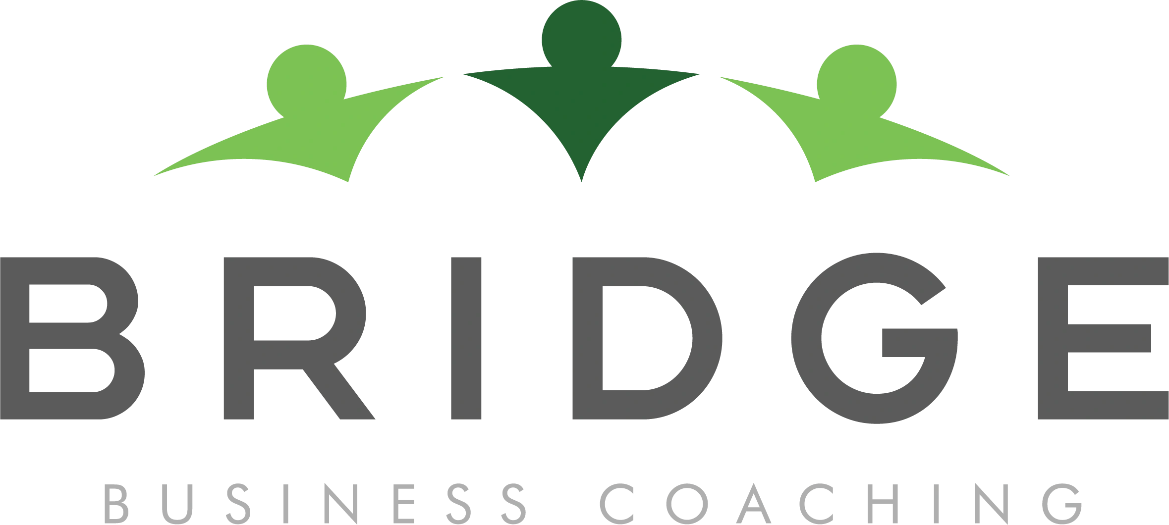 Bridge Business Coaching