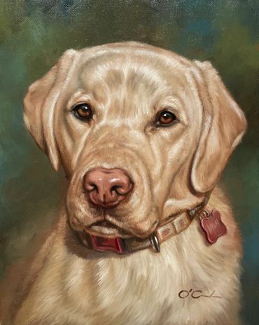 wildlife fine art oil painting contemporary portrait yellow lab custom