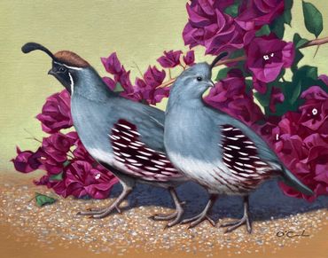 contemporary fine art wildlife oil painting Gambel's quail pair couple bougainvillea still life