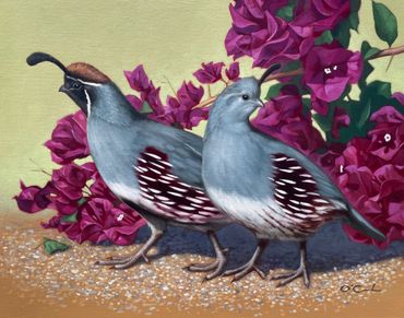 contemporary fine art wildlife oil painting Gambel's quail pair couple bougainvillea still life