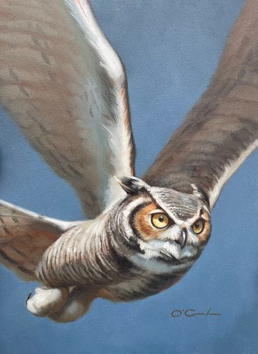 contemporary wildlife fine art oil painting Great horned Owl flight flying