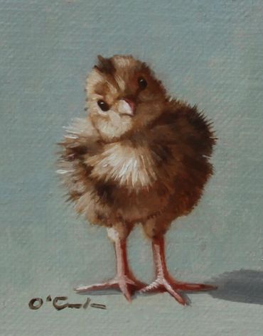 quail chick fine art oil painting wildlife Arizona