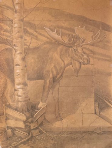 wildlife fine art sketch toned paper charcoal pencil white study moose Aspen Western oil painting