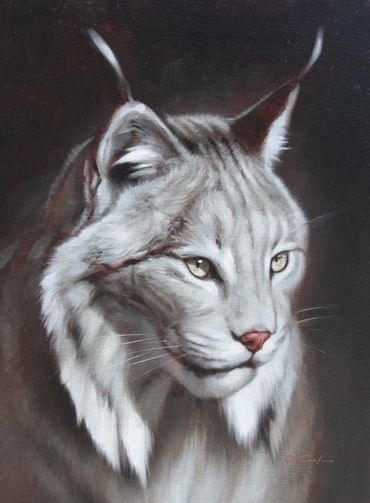 wildlife fine art oil painting contemporary animal portrait lynx bobcat grey