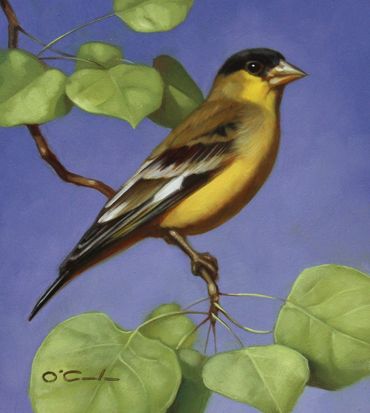 wildlife art oil painting lesser goldfinch aspen leaves green yellow blue