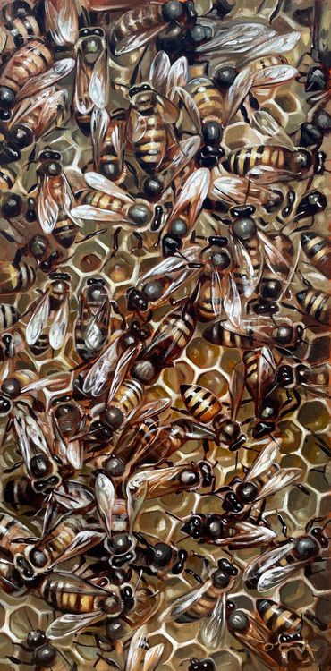 Honey bees honeycomb wildlife art fine painting