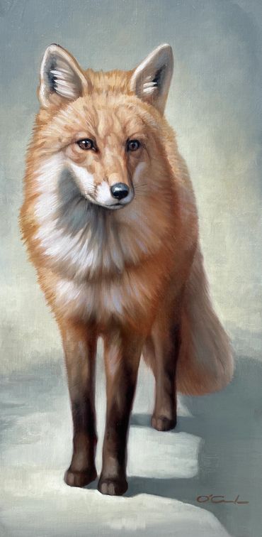 wildlife art fine oil painting red fox standing Patient observer