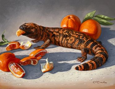 wildlife fine art oil painting gila monster oranges still life
