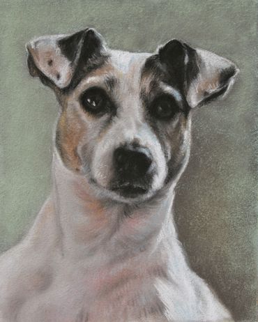 wildlife fine art oil painting custom dog portrait pastel chalk commission