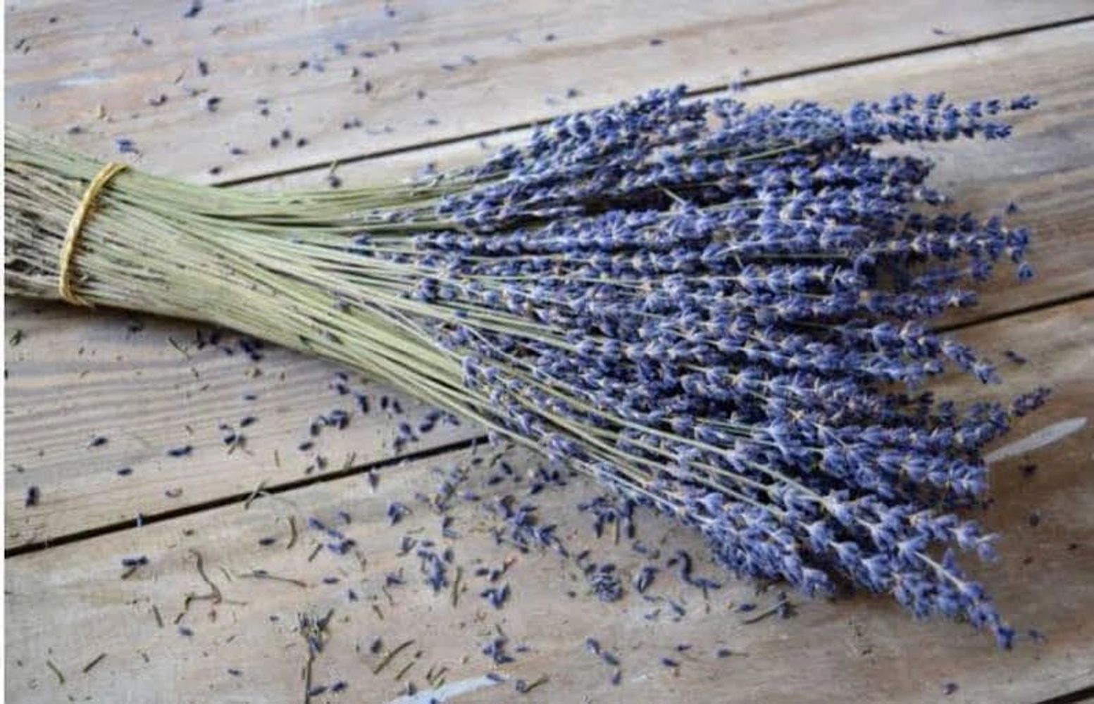 A bundle of dried lavender flowers tied with a string on a wooden surface.