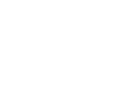 Pi
Auto Finance