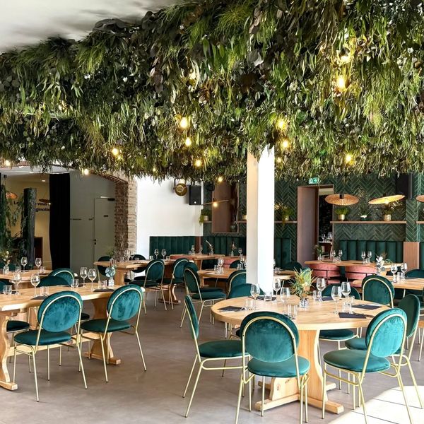 Elegant restaurant with green velvet chairs and a lush hanging foliage ceiling.