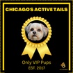 Chicago's Active Tails