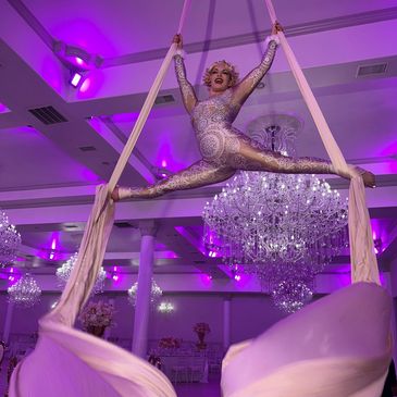 Aerial Silks