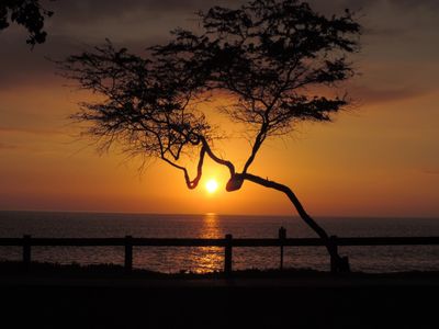 Maui, Hawaii. Photo By: Debbie Alamillo