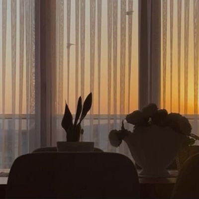 Silhouettes of plants by a window during sunset with sheer curtains.