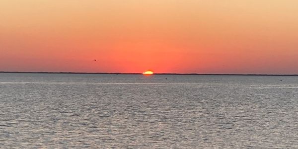 View of the sunset on the display of the website