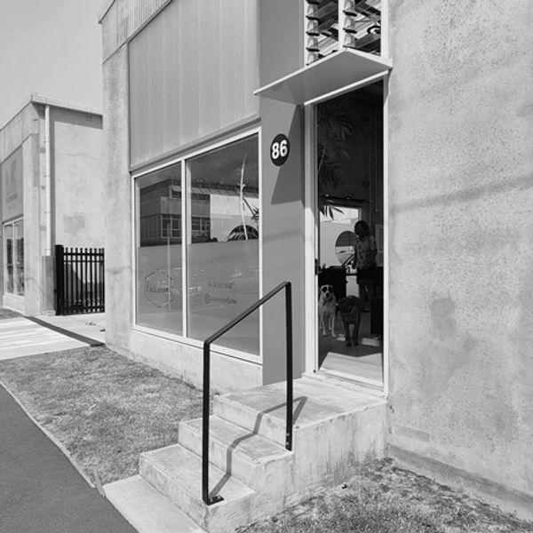 Modern building entrance with steps and a dog inside.