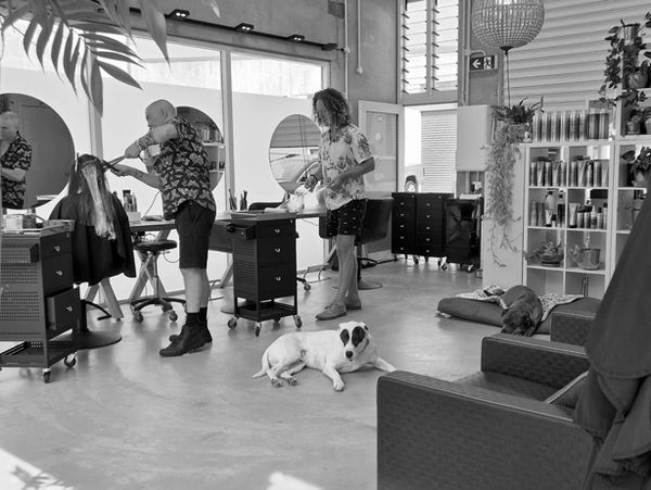 Stylish salon with people getting haircuts and dogs relaxing on the floor.