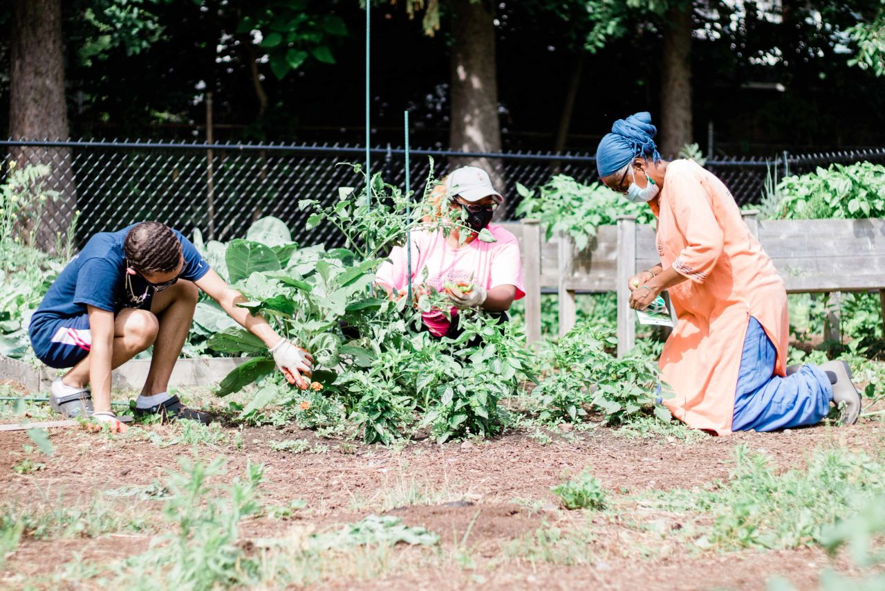Josh Valle, Agnes Frias, and Sister Anna Muhammed (NOFA Mass) working in the garden with safety procedures in place.