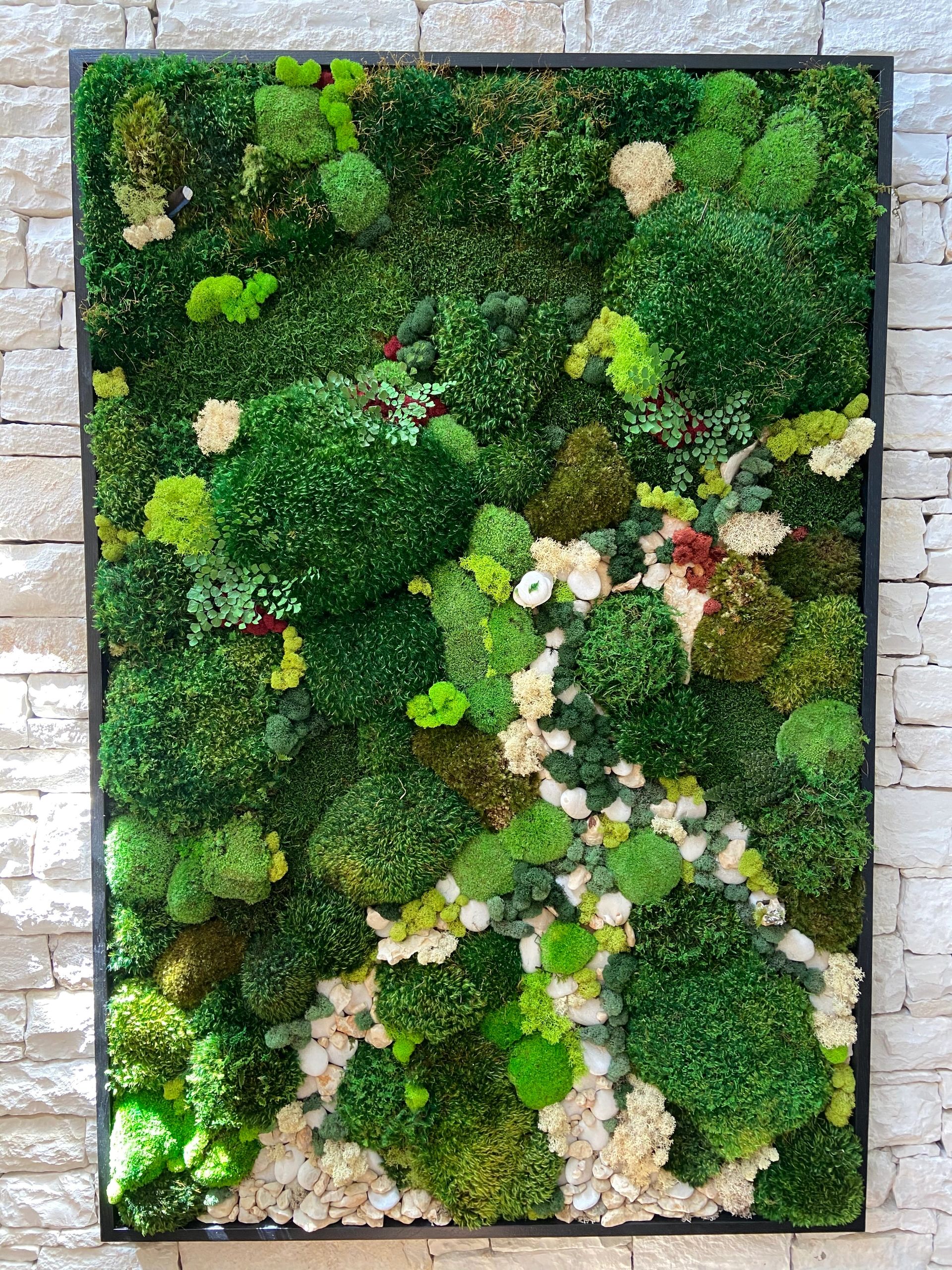 MossArt by Tricia Moss Art, Green Walls, Moss Art, Art and Design