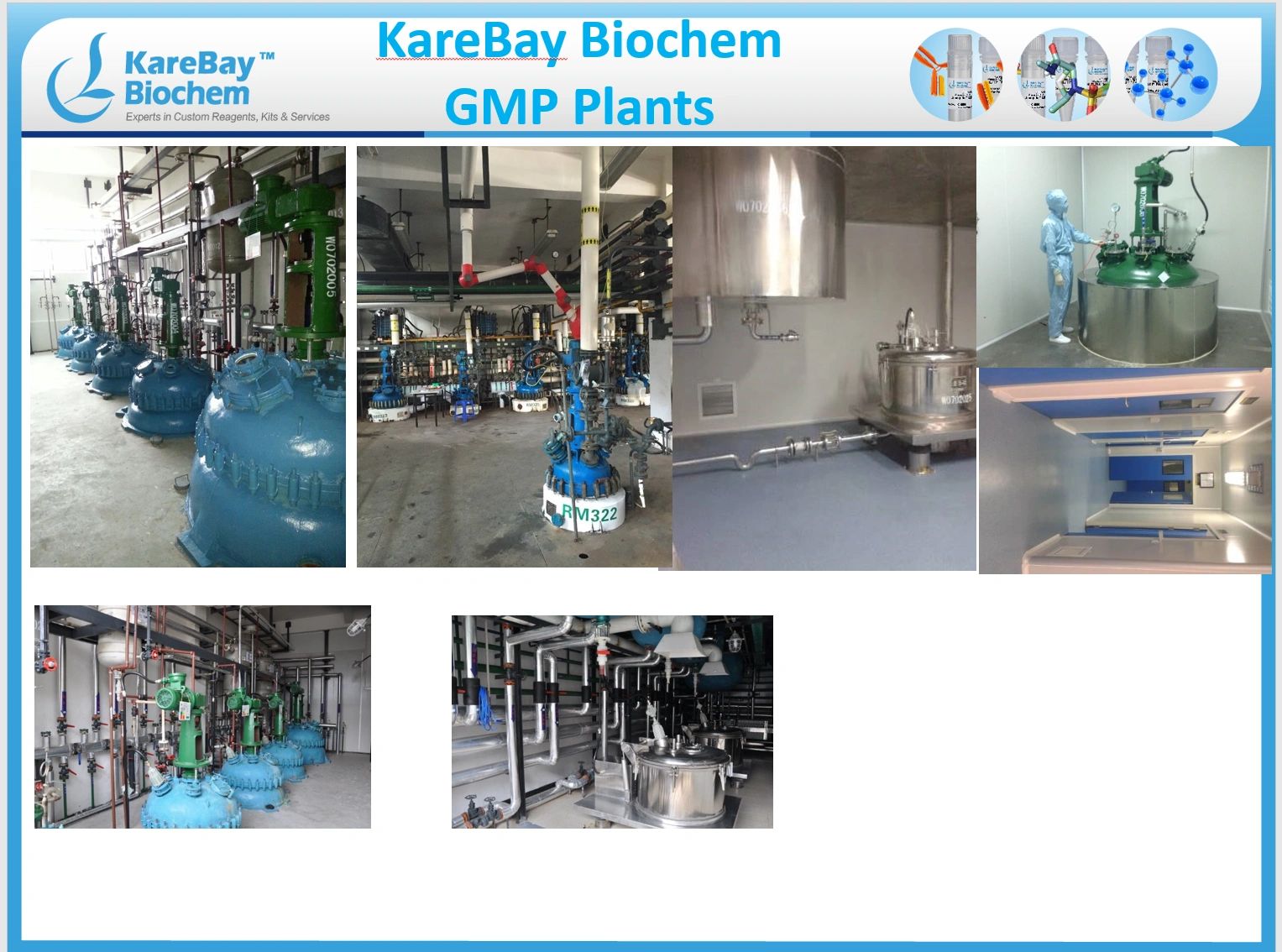 Custom Polymer Synthesis-Polymer Manufacturing Service