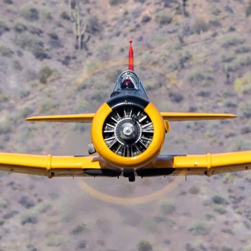 Front view of the T-6 Texan