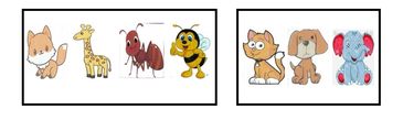 Set of 10 laminated animal cards for naming white keys.  Cards with 4 animals go with 3 black key gr