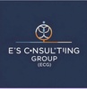 Es Consulting Group (ECG)