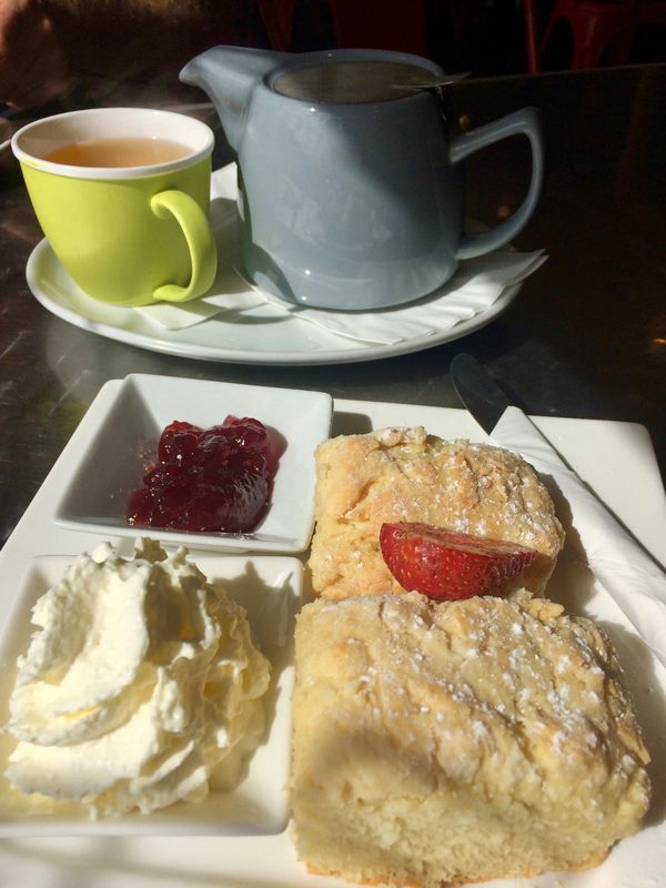 The Little Teapot Cafe, Gluten Free Products, Homemade Scones