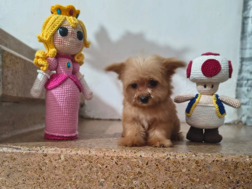 A small brown puppy sits between two crocheted dolls on a stone surface.