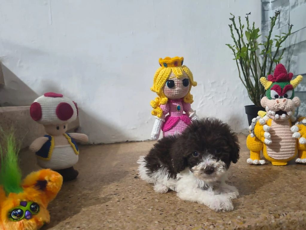 A fluffy black and white puppy surrounded by crocheted video game characters.