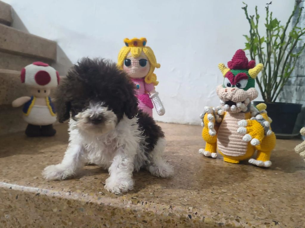 A fluffy black and white puppy sits among crocheted Mario characters on a stone surface.