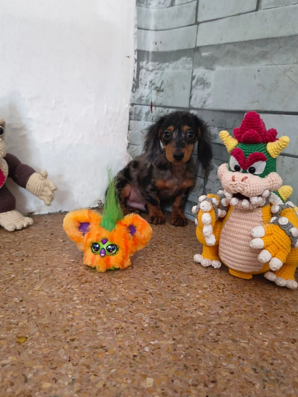 Small puppy sitting between colorful crocheted toys on a tiled floor.