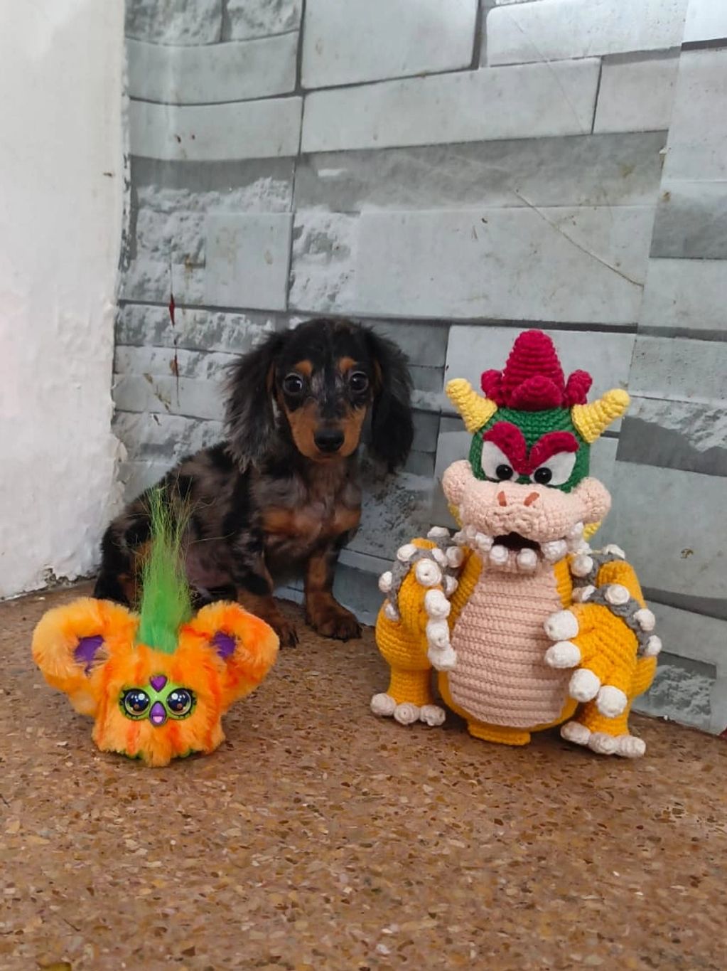 A small dog sits between two colorful plush toys against a tiled wall.