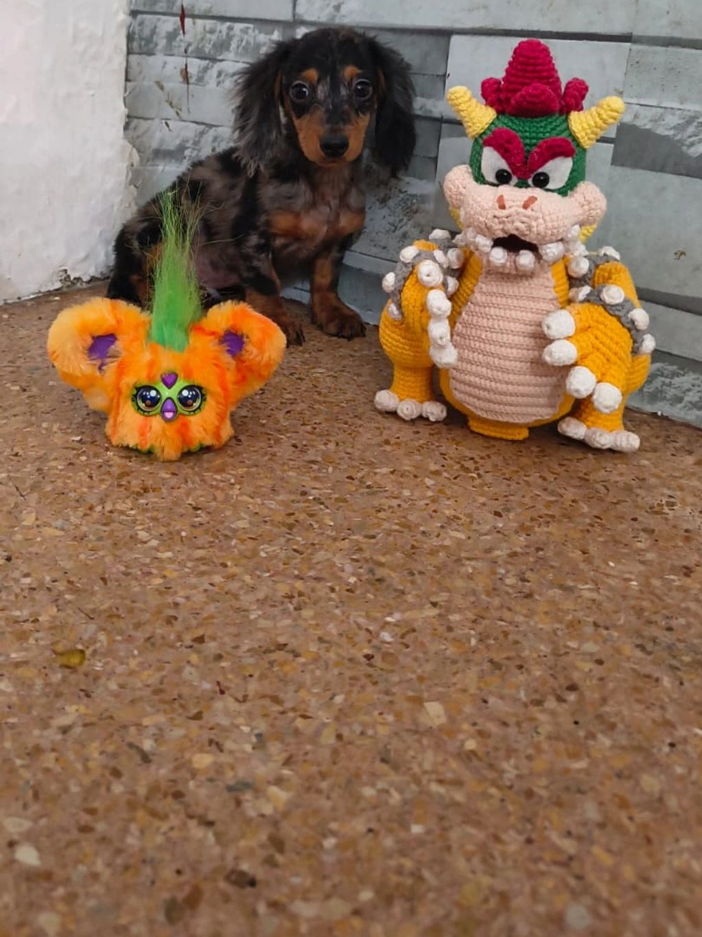 A small dog sits between two colorful plush toys against a tiled wall.