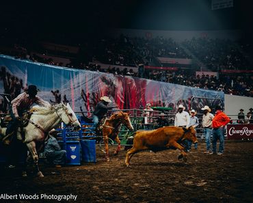 8 Seconds: Juneteenth Rodeo