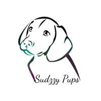 Sudzzy Pups
