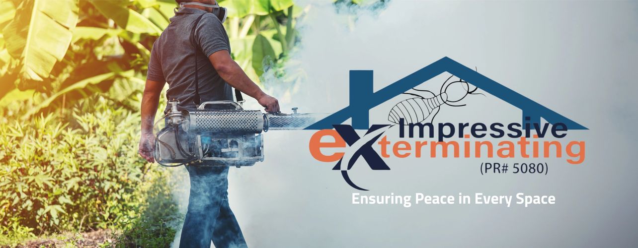 impressive exterminating pest control, pest control near me, pest control services