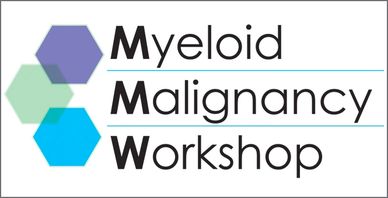 Logo for the Myeloid Malignancy Workshop featuring hexagonal shapes.