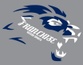 Franchise Senior Sports