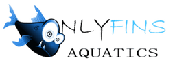 OnlyFins Aquatics