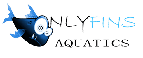 OnlyFins Aquatics