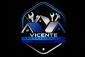 Vicente Remodeling LLC