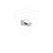 101security