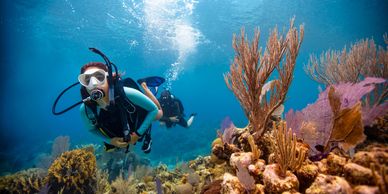 Open water scuba diving course